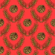 Sketch pine branch and cones