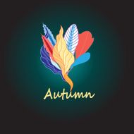 Autumn Background N41