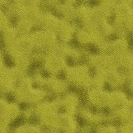 Snake skin N11