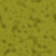Snake skin N12