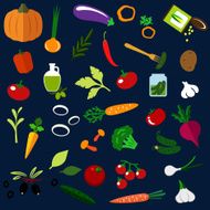 Natural ripe vegetables flat icons