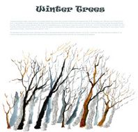 Bare winter branches of the trees N2