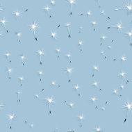 Dandelion wind in grass