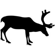 Silhouette deer with great antler on white background
