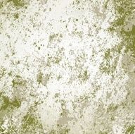 Grunge Background N49