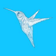 Hummingbird with abstract ornament hand drawn blue vector illust N2