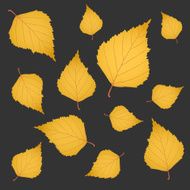 Autumn background of yellow gold birch leaves on grey