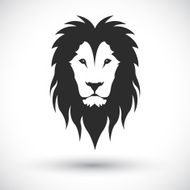 Lion Vector N4