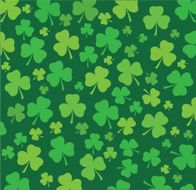 Shamrock N4