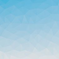 Polygon Vector Background N132