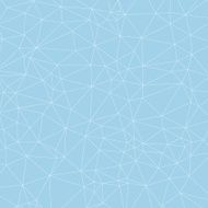 Polygon Vector Background N255