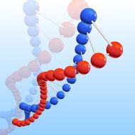 DNA N10