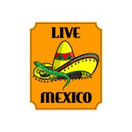 Still life depicted in the Mexican style sambrero and iguana