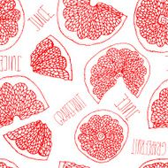 Grapefruit hand drawn doodle seamless pattern N3