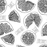 Grapefruit hand drawn doodle seamless pattern N4