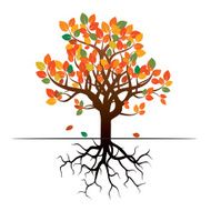 Autumn Tree and Roots Vector Illustration N2
