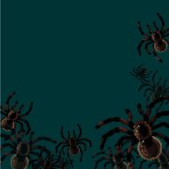 Background with spiders