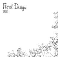 Floral Border N16