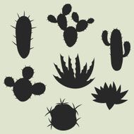 Collection of stylized cactuses and plants Natural illustration