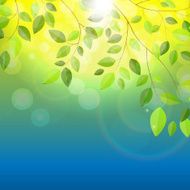 Shiny Spring Natural Leaves Background Vector Illustration N3