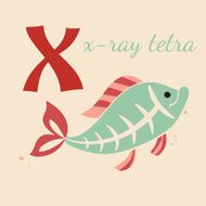 Animal &amp; Animals N4