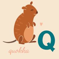 Animal &amp; Animals N10