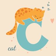 Animal &amp; Animals N22