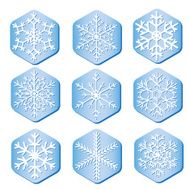 vector snowflakes on pieces of ice