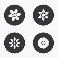 Vector modern flower icons set N2