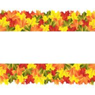 background autumn maple leaves N2