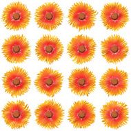 Bloom set generated texture