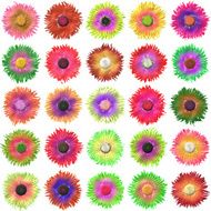 Bloom set generated texture N2