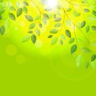 Shiny Spring Natural Leaves Background Vector Illustration N4