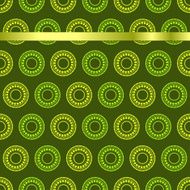 Luxury classic background vector N2