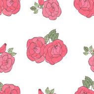 Pink rose on the white background N4