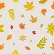 Autumn pattern N11