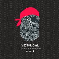 Cute little pirate owl N2