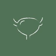 Urinary bladder icon drawn in chalk