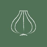 Garlic icon drawn in chalk