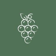 Bunch of grapes icon drawn in chalk