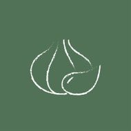 Garlic icon drawn in chalk N2