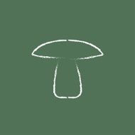 Mushroom icon drawn in chalk