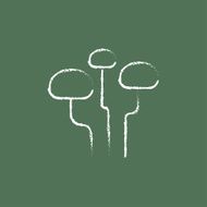 Mushroom icon drawn in chalk N2