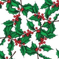 Vector seamless hand drawn Holly pattern