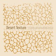 Desert texture