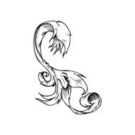 traditional hand drawn floral swirl N7