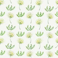 Dandelion and plants seamless pattern in watercolor