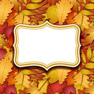Frame labels on background with autumn leaves N2