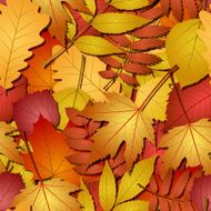 seamless with autumn leaves N3