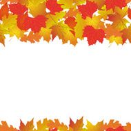 Seamless pattern with bright autumn leaves N4